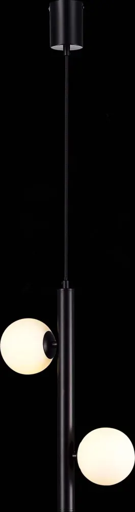 SL1185.403.02 Подвес ST-Luce Черный/Белый G9 LED 2*5W ASOLO